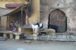 03 Fatepur Sikri Jaipur Mix (123)